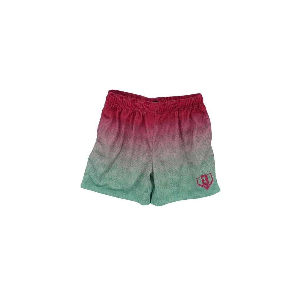 Baseball Lifestyle 101 Mesh Gradient Shorts Youth Large